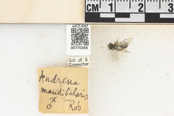 Media type: image;   Entomology 770368 Aspect: Labels